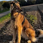 بيت ضيافة Und Antje Ekert 4*