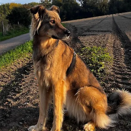Vendégház Und Antje Ekert 4*