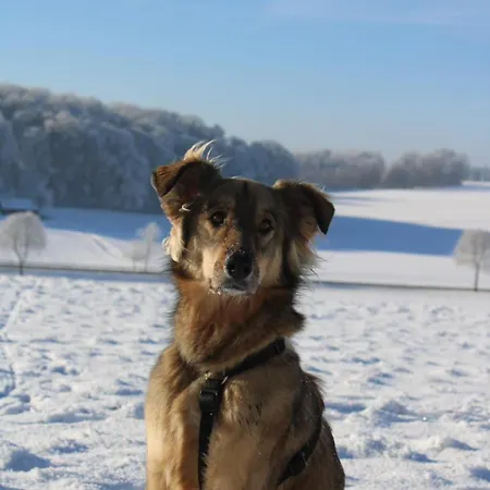 Vendégház Und Antje Ekert 4*