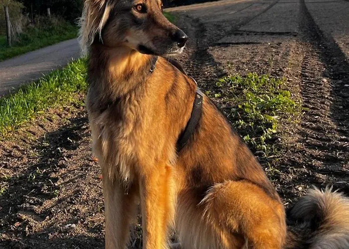 بيت ضيافة Und Antje Ekert 3*